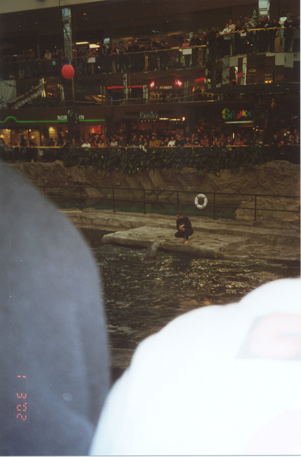 ./Ragtime/08 - Edmonton Canada Jan 01 to Jan 06/picture8.jpg